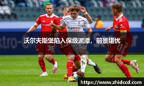 哈哈体育